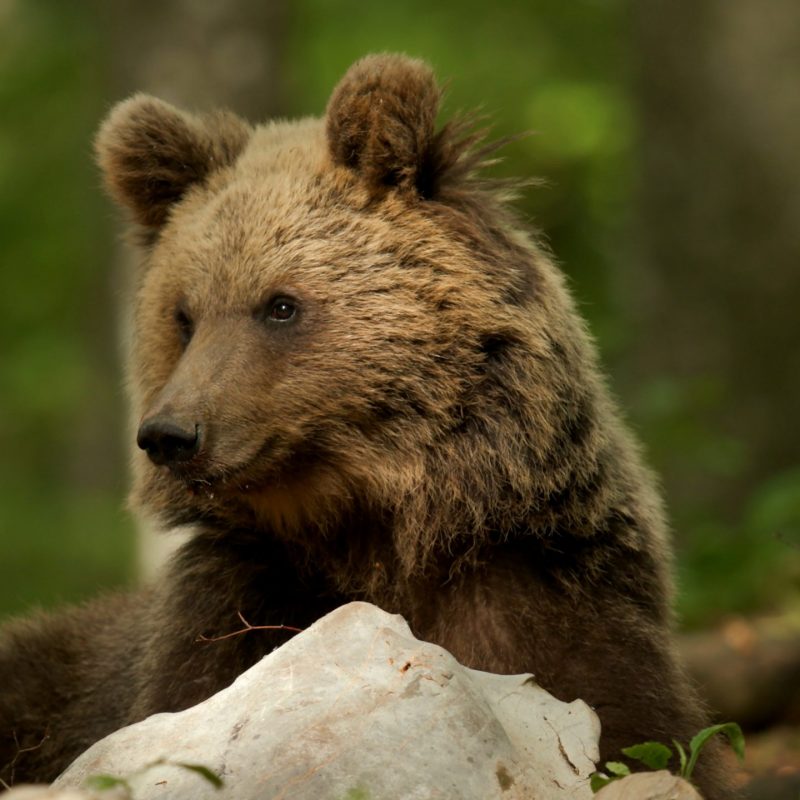 A040C433_2205211W_CANON.01_48_23_40.Standbild004