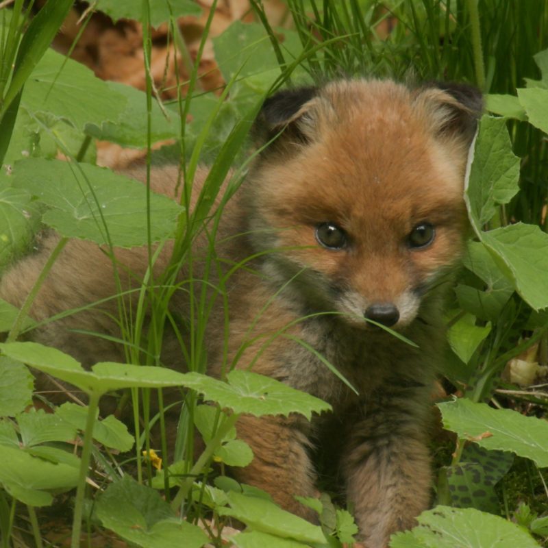 A046C993_220531RA_CANON.00_40_18_36.Standbild003