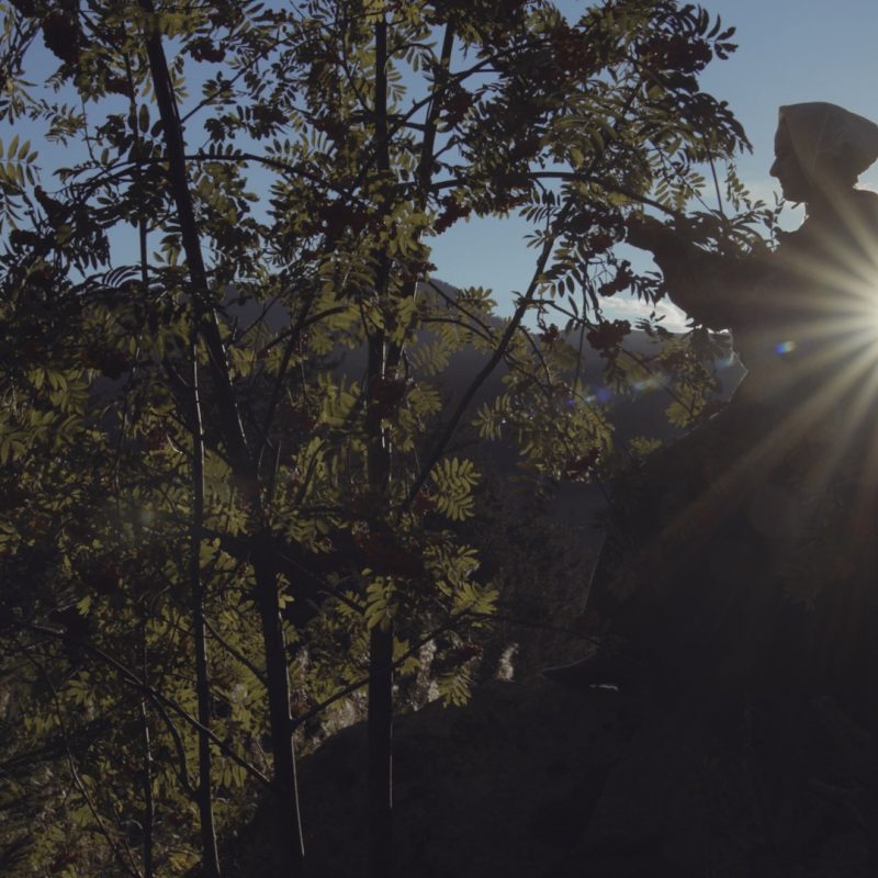 Struktur mit OTs.01_03_52_19.Standbild008